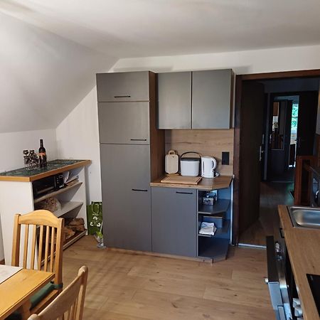 Appartement Steiner Schladming Exteriér fotografie