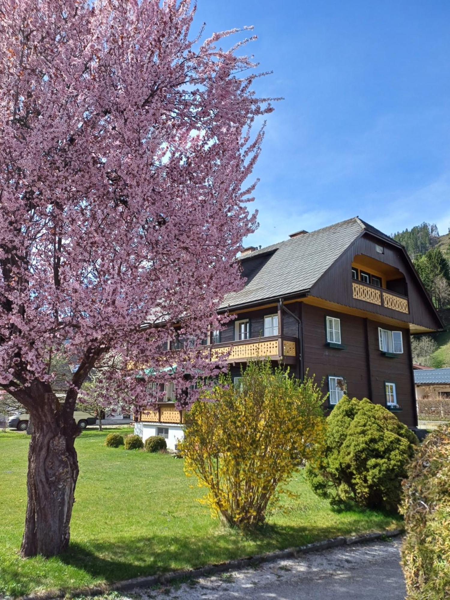 Appartement Steiner Schladming Exteriér fotografie