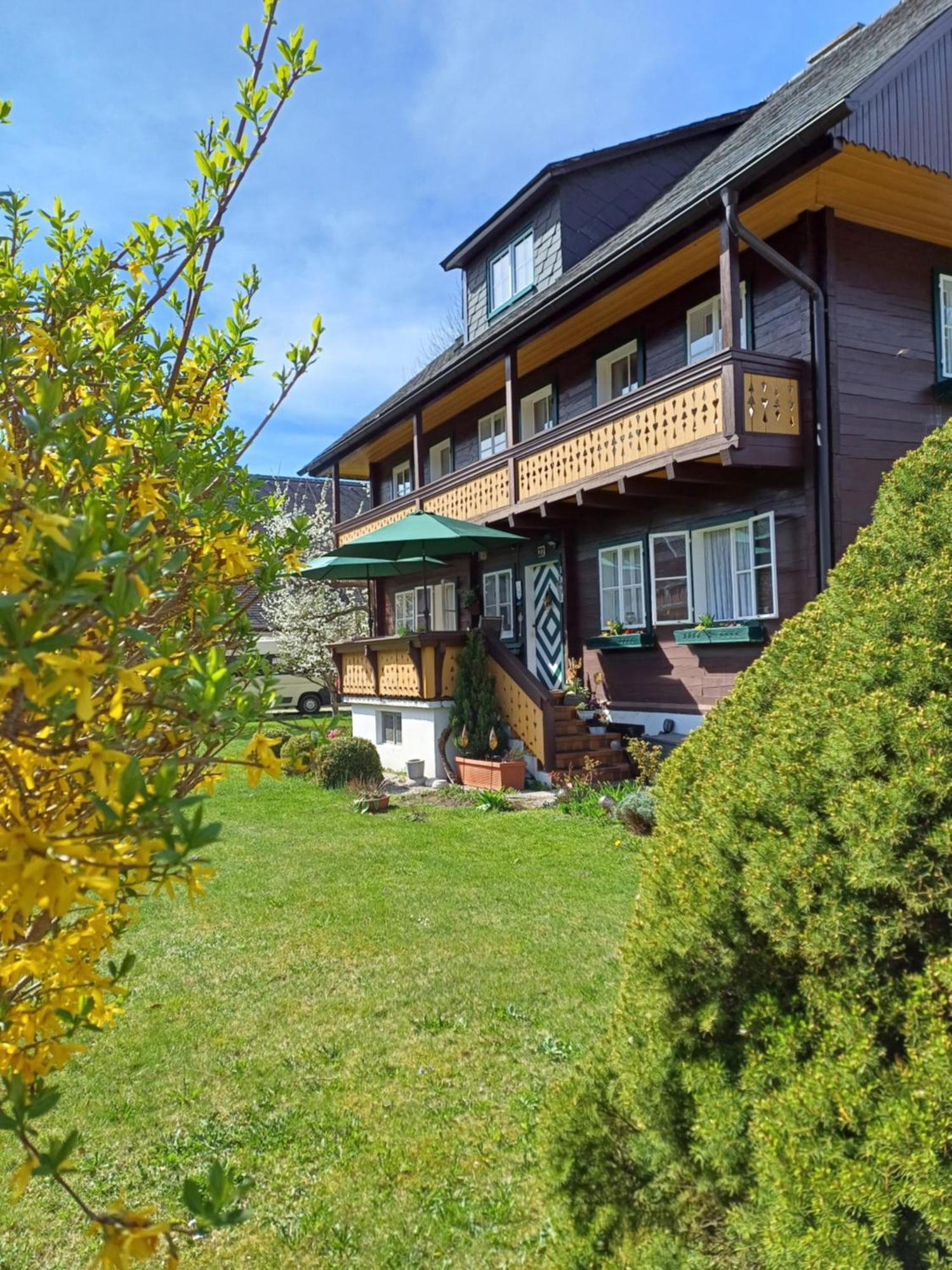 Appartement Steiner Schladming Exteriér fotografie