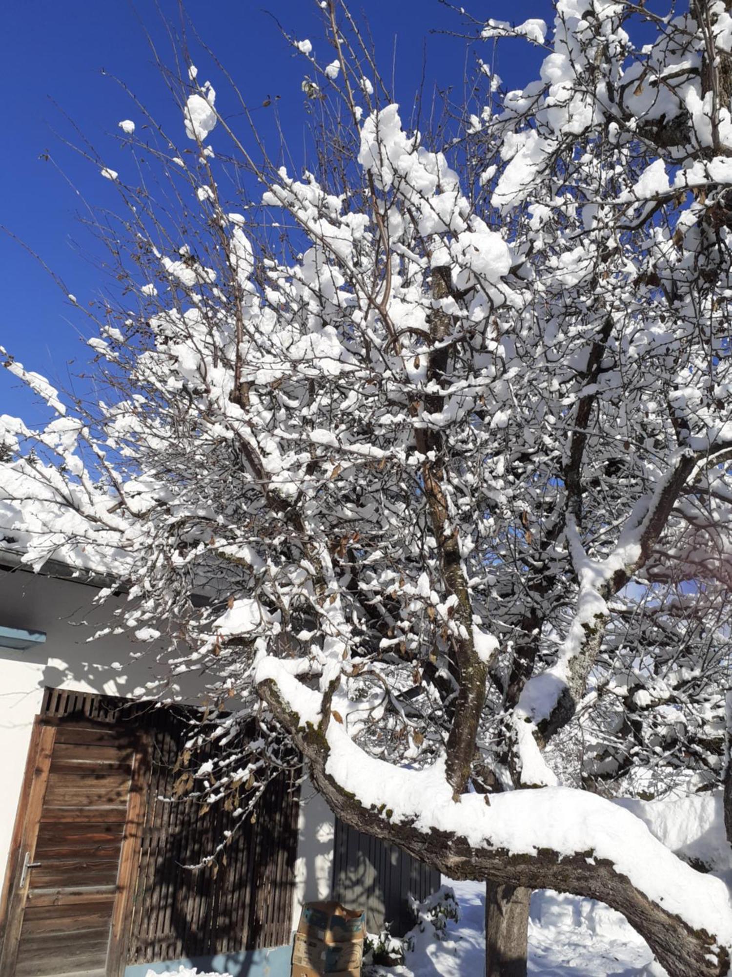 Appartement Steiner Schladming Exteriér fotografie